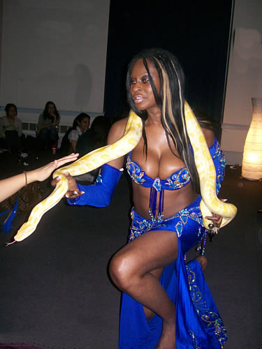Solaris bellydancer with snake