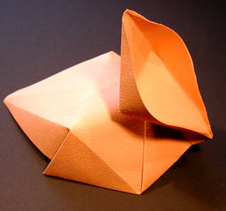 Nick Robinson origami duck